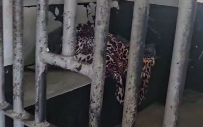 Legenda: CPP ficou sem energia após queda de disjuntor na semana passada (Foto: Reprodução)