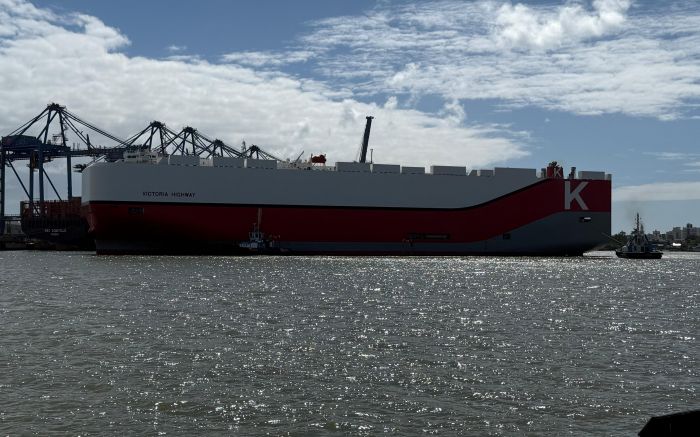 Foram 12 operações com o desembarque de 8100 carros em 10 meses (Foto: Divulgação)