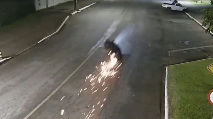 Homem era de Itajaí e a mulher, do Rio de Janeiro. (Foto: Divulgação)