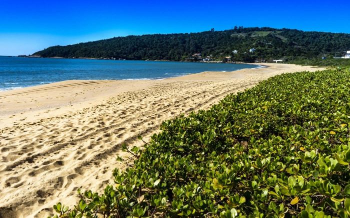 Na praia Central, um grupo de quatro venezuelanos também se afogou (Foto: Ilustrativa/BC Convention)