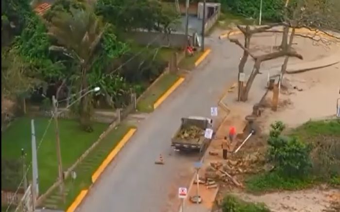 Foram quatro árvores derrubadas e outras 10 que passaram por poda radical (Foto: Reprodução)