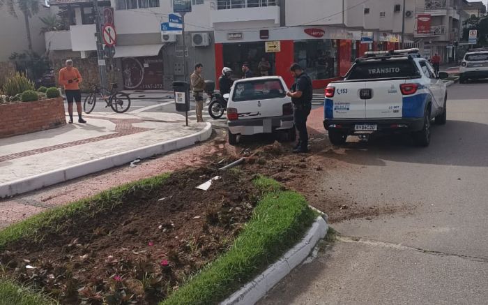 Acidente arrancou flores e espalhou terra na pista (Foto: Divulgação/GMBC)