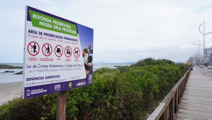 Julgamento definiu que vegetação nesse trecho é APP, mesmo sem função de fixar dunas ou proteger manguezais
(Fotos: João Batista)