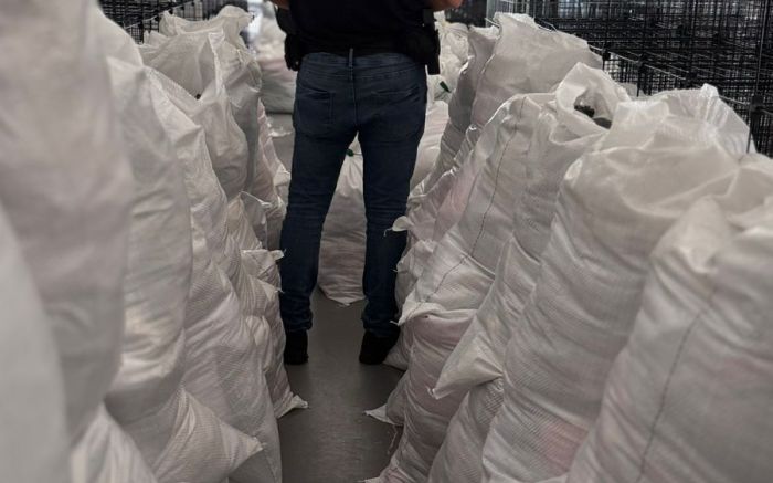 Apreensão está avaliada em R$ 1,5 milhão (Foto: Divulgação/PCSC)