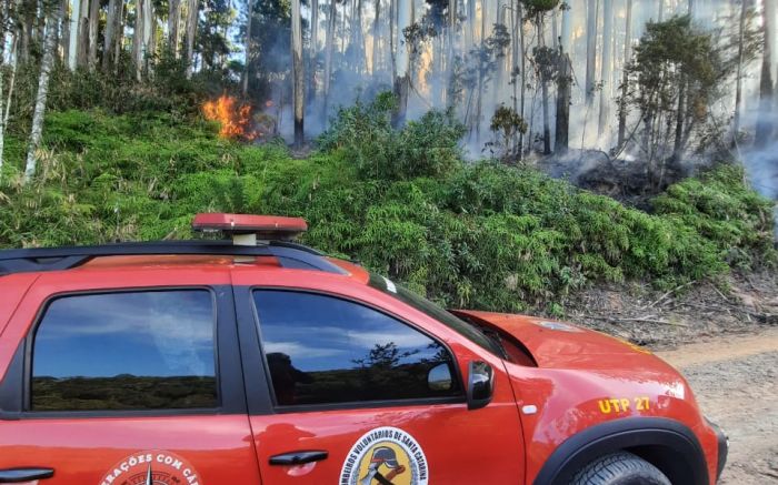 Legenda: Incêndio atingiu área de mata; não há registro de vítimas (Foto: Divulgação/CBVN)