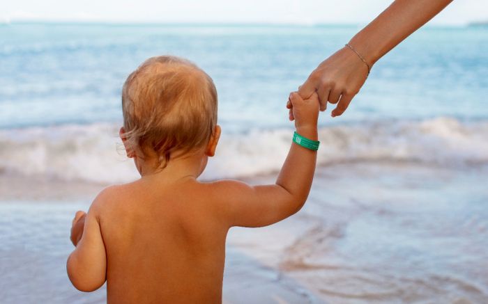 Parque Unipraias e roda-gigante também receberão pulseiras (Foto: Divulgação)