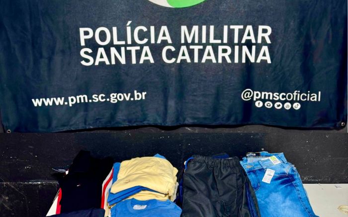 Oitenta e oito peças de roupas foram apreendidas (Foto: Divulgação)