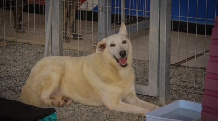 Para adotar, é preciso ser maior de 18 anos (Foto: divulgação/PMN)