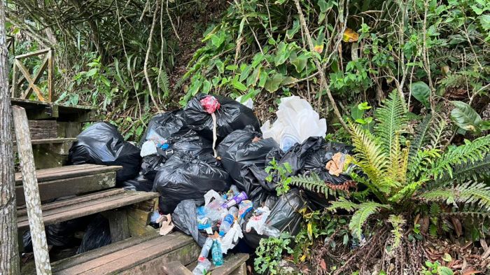 Parte da passarela também foi derrubada e lixeira foi queimada (Foto: Leitor)