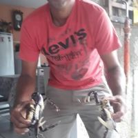 Assassinos de vigia de escola serão julgados