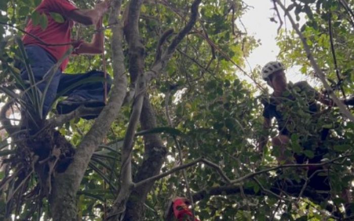 Acidente mobilizou o Corpo de Bombeiros de Itajaí (Foto: Divulgação/CBMSC)