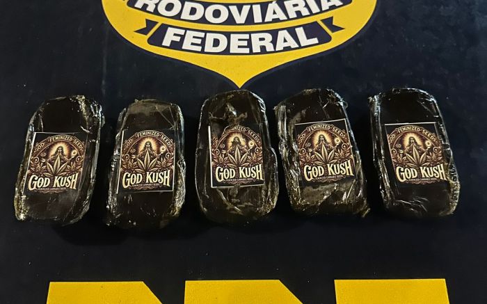 Carro parou só depois de bater no guard rail (Foto: PRF)