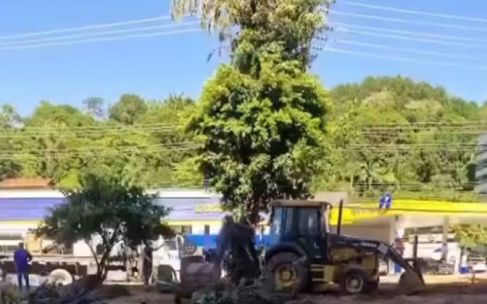 Uma moradora de BC alega que a prefeitura retirou árvores em obra no bairro Pioneiros (Foto: Leitora)