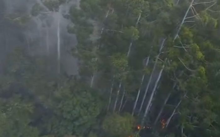 É estimado que o incêndio tenha atingido uma área de até 10 mil m² (Foto: Divulgação BBM)