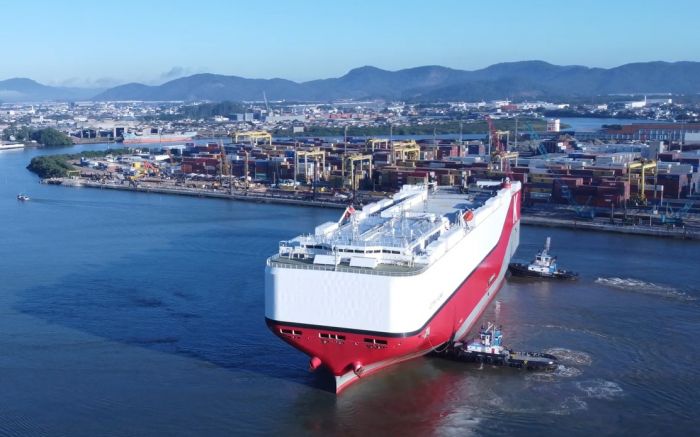 Navio chegou com mais de 600 carrões (Foto: Divulgação)