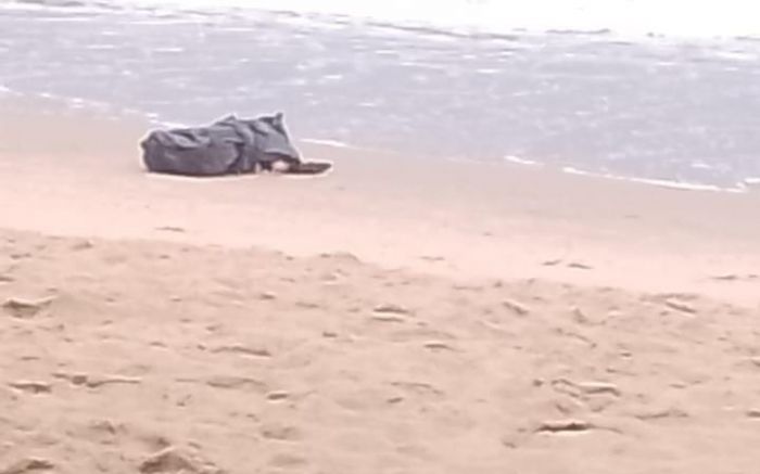 Corpo de Wendel foi encontrado na faixa de areia da Praia de Cabeçudas (Foto: CBMSC)