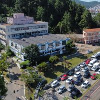 O que abre e o que fecha na região durante os dias de folia