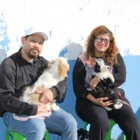 Porto Escalvado recebe primeiro mutirão de castração do ano em Navegantes