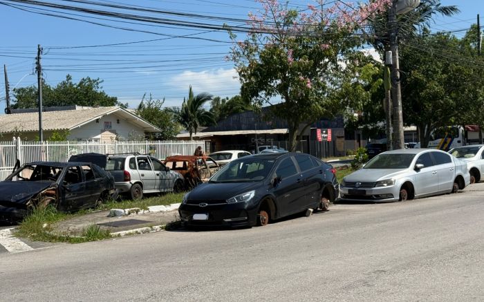 Medida emergencial tenta conter risco de dengue enquanto estado ainda estuda o que fazer com os veículos