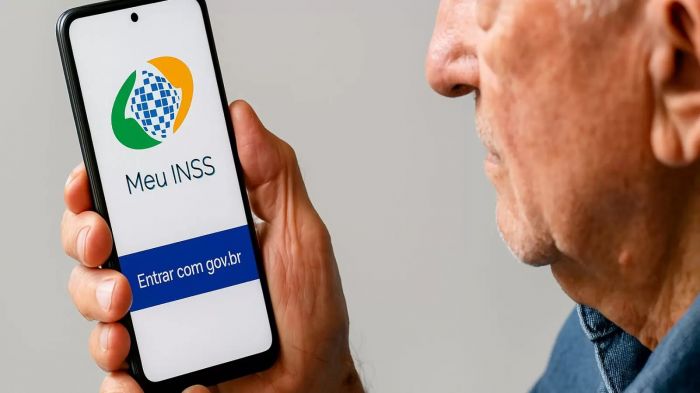 Aplicativo Meu INSS permite consultar benefício, carta de concessão e solicitar serviços sem sair de casa (Foto: Redes sociais)