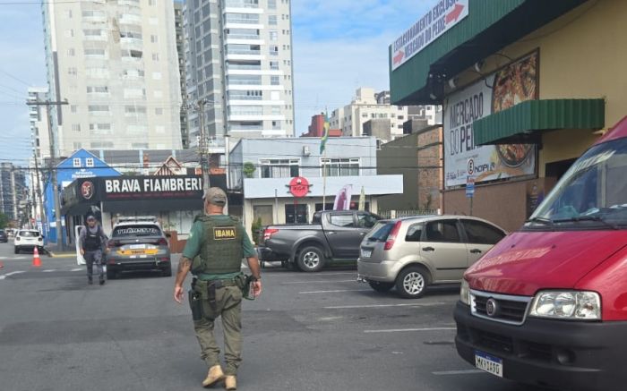 Operação descartou 550 quilos de pescado e apreendeu 100 quilos de metabissulfito (Foto: Divulgação)
