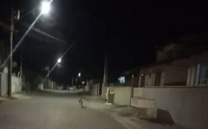 Vídeo enviado à redação mostra o animal circulando perto de casas na região da Paciência (Foto: Arquivo)