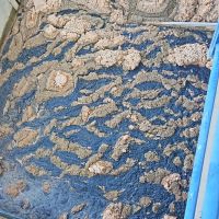 Reservatórios de água de Itajaí e Navegantes entram em estado crítico