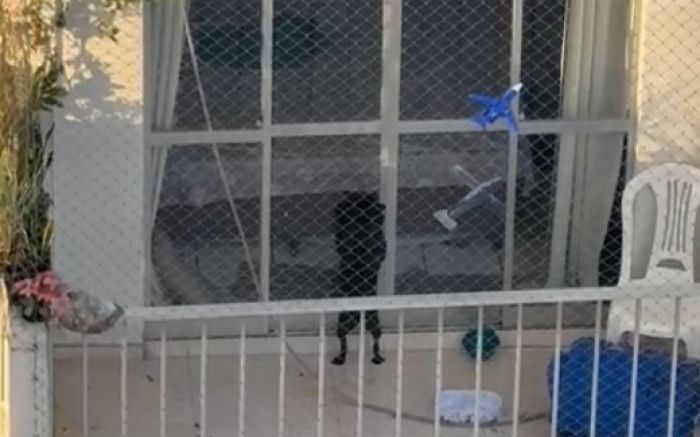 Moradores denunciaram cachorro mantido em sacada de prédio em Balneário Camboriú (Foto: Leitor)