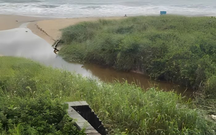 Instituto do Meio Ambiente de Piçarras (IMP) já tinha laudos sobre o despejo irregular. / Foto Divulgação