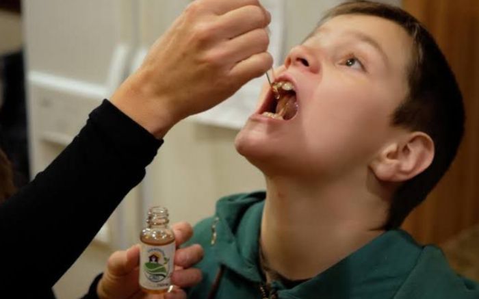 Para participar da plenária virtual é necessário solicitar o link da reunião via WhatsApp (Foto: Divulgação)