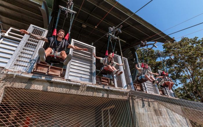 Programação inclui trilha guiada e passeio de bondinho (Foto: Divulgação)
