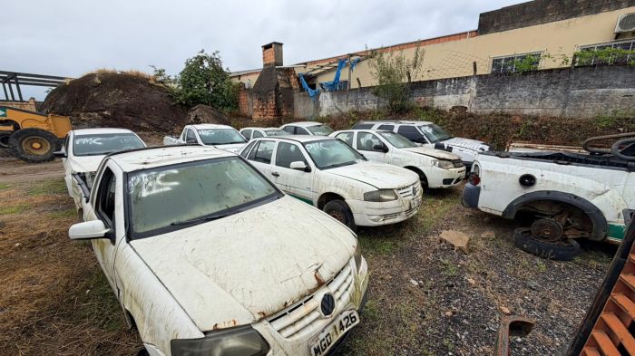 Lances iniciais de lotes vão de R$ 250 e R$ 9 mil (Foto: Divulgação)