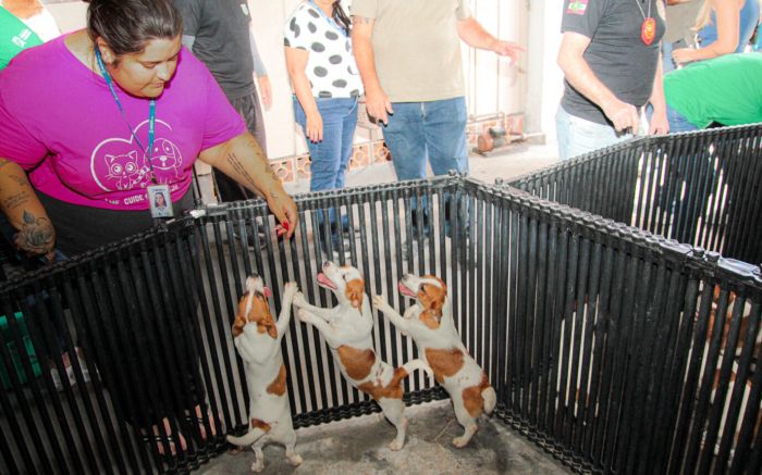 Apreensão em canil na Meia Praia foi em dezembro, após denúncias (Foto: Marcos Porto/Arquivo/Divulgação PMN)