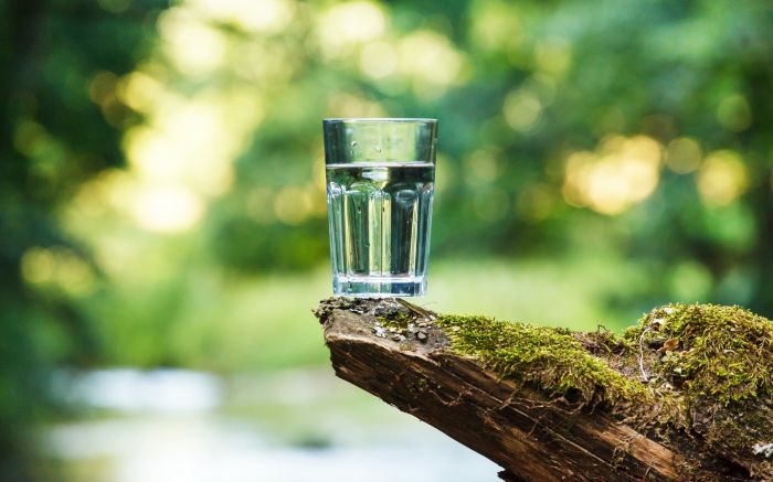 Mutirões e ações educativas marcam o fim de semana na região