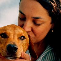 IA ajuda a encontrar o pet ideal e incentivar adoções