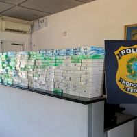 Mais de 450 iPhones a caminho de BC são apreendidos na BR 101