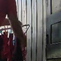 Ladrão de calcinhas reaparece em casa