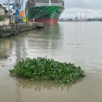 Dragagem é retomada após 48 dias