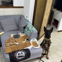 Quadrilha de traficante russo tinha laboratório de drogas em mansão