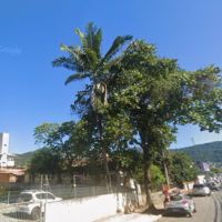 Prefeitura de BC faz leilão milionário de imóveis