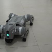 Univali ganha “cão-robô” e marca nova fase em pesquisas