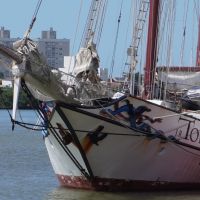 Veleiro J. R. Tolkien faz parada em Itajaí após expedição à Antártica