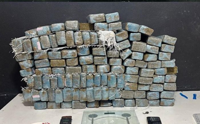 Drogas estavam escondidas em vários pontos da barbearia e área vizinha (Foto: Divulgação PMSC)