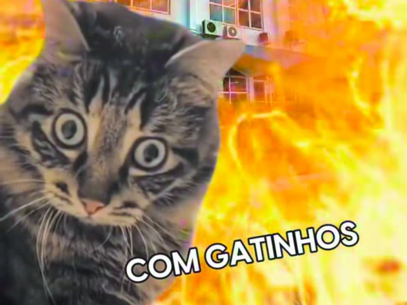 A Comunicação da prefa de BC fez cópia cuspida e escarrada de propaganda do PT. Phode isso, Arnaldo?! 