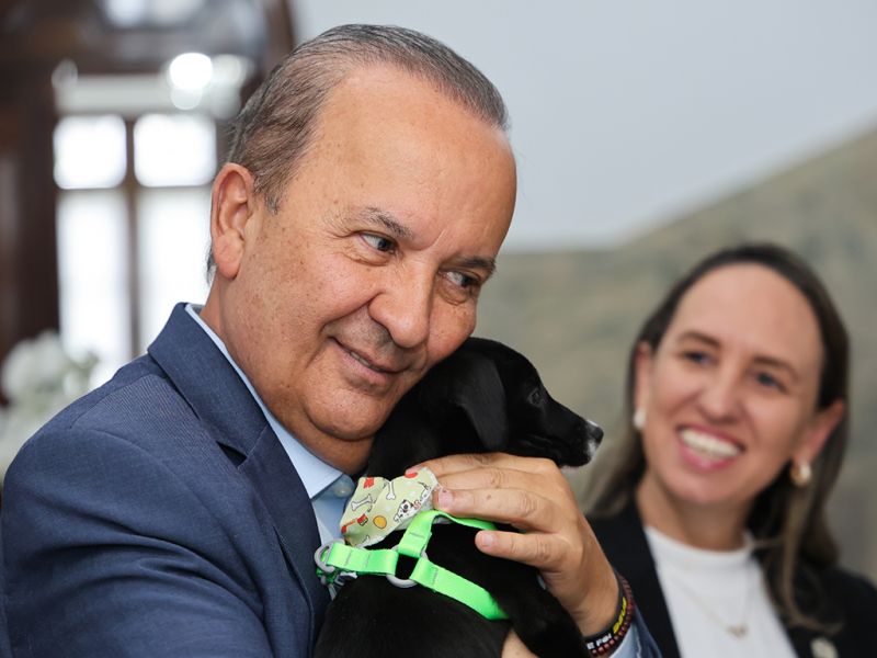 Governador Jorginho Mello (PL) adota filhote do programa ReabilitaCão