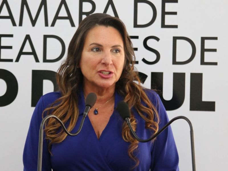 Câmara de Rio do Sul aprova, por unanimidade, abertura de pedido de cassação da vereadora Sueli de Oliveira (Novo) feito pelo suplente (foto: divulgação)