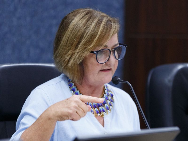 A vereadora cultural Hilda Deola (PDT) diz ao Victor Nascimento, o boneco Falcon (PL), que determinadas posturas, podem lhe levar à Comissão de Ética da piramidal 