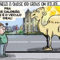 Asfalto chega a quase 60 graus em Itajaí