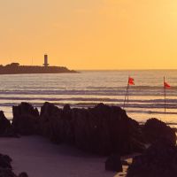 Dourado em silêncio