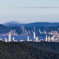 Entre selva e concreto